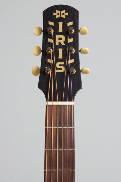 Iris OG Flat Top Acoustic Guitar (2023)