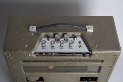Rickenbacker M-30 Ek-O-Sound Tube Amplifier (1960)