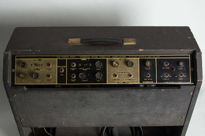 Magnatone Da Vinci D-60 Custom previously owned by Steely Dan's Walter Becker Tube Amplifier (1965)