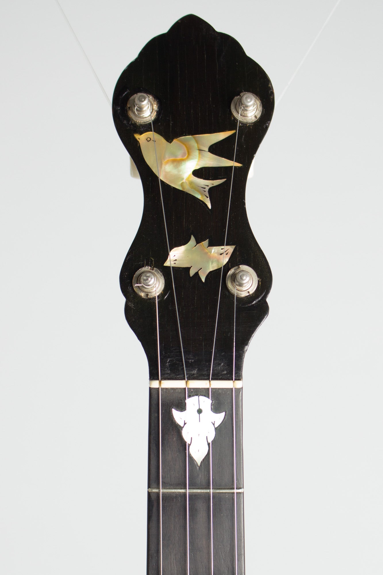 W. A. Cole Eclipse Custom 5 String Banjo (1893)