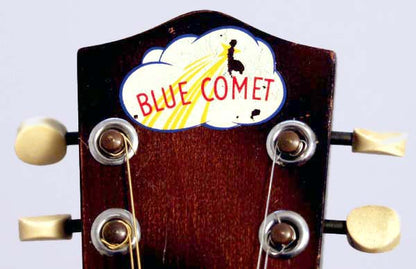 Blue Comet Arch Top Mandolin (1930's)