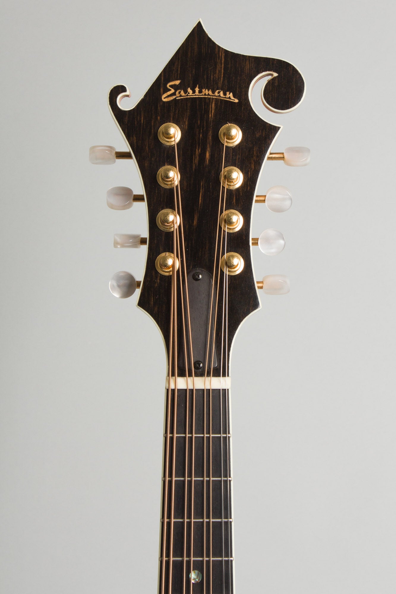 Eastman MDA815 Arch Top Mandola (2011)