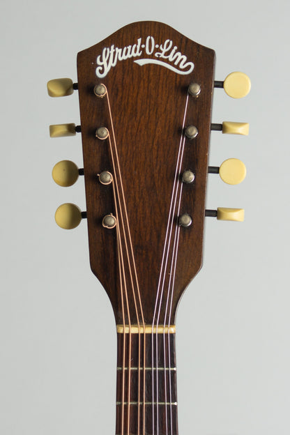 Stradolin Arch Top Mandolin (1938)