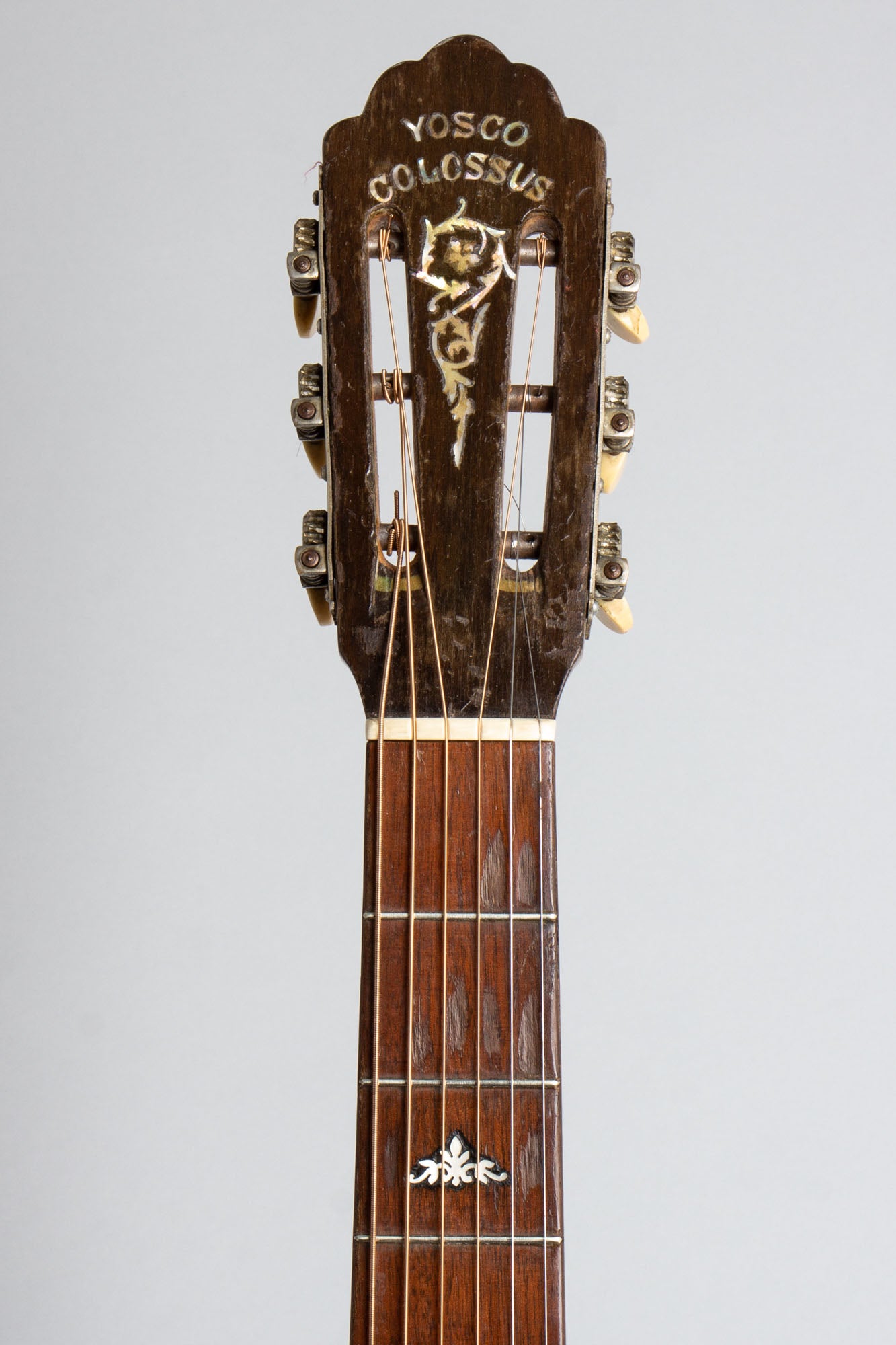 Yosco Colossus Guitar Banjo (1920)