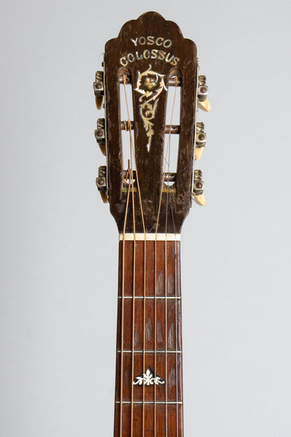 Yosco Colossus Guitar Banjo (1920)