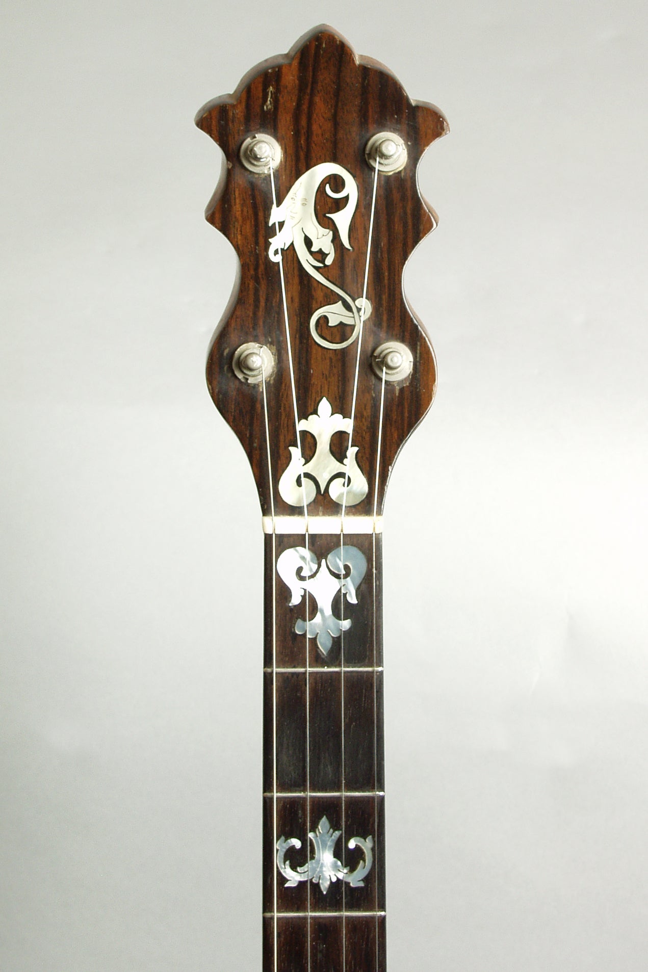 Luscomb composite with Jim DeCava Neck 5 String Banjo (1895)