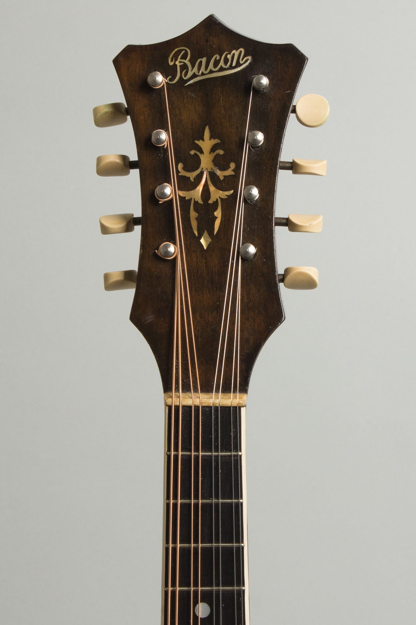 Bacon William Place Jr. Artist Model Carved Top Mandolin (1921)