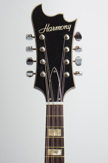 Harmony H-35 Hollow Body Electric Mandolin (1968)