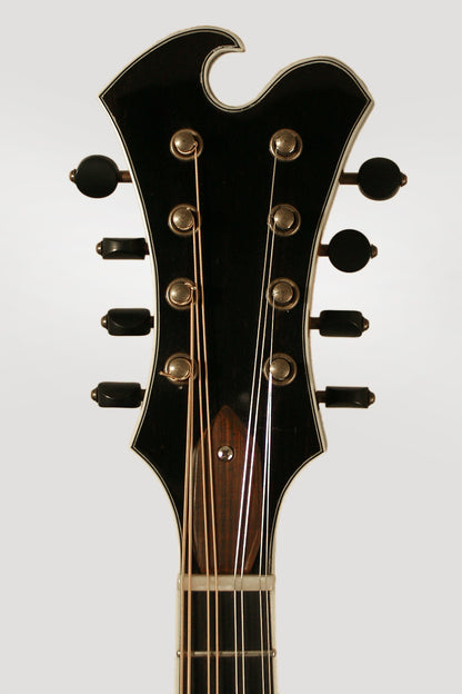 Adam Buchwald Circle Strings F-Style Carved Top Mandolin (2013)