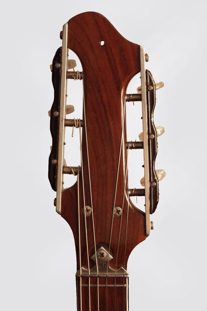 Wandre Davoli Polyphon Semi-Hollow Body Electric Guitar (1963)
