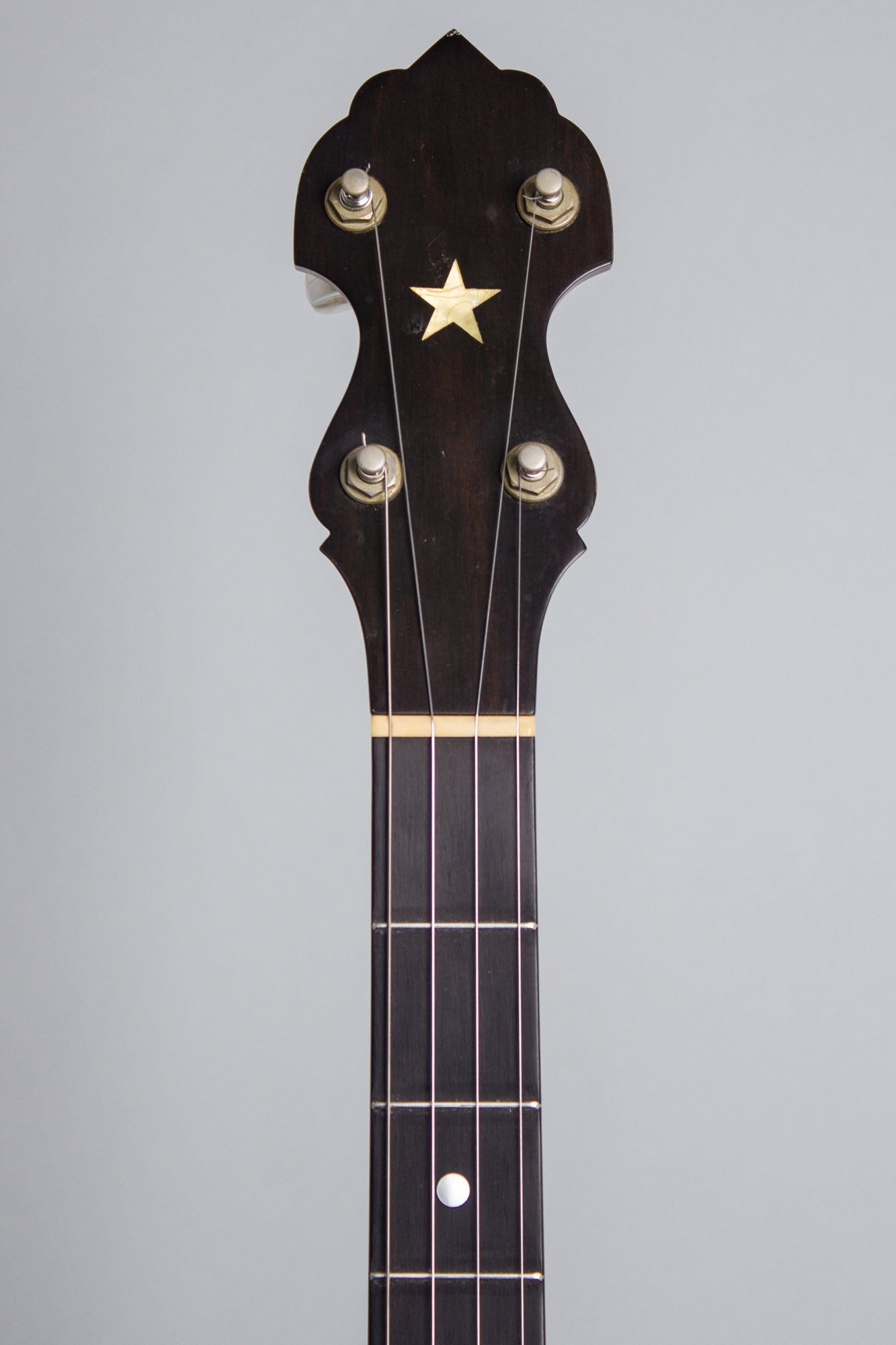 Bart Reiter Standard 5 String Banjo (1991)