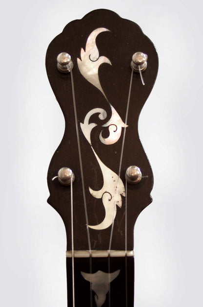 A. C. Fairbanks Professional 5 String Banjo (1890)