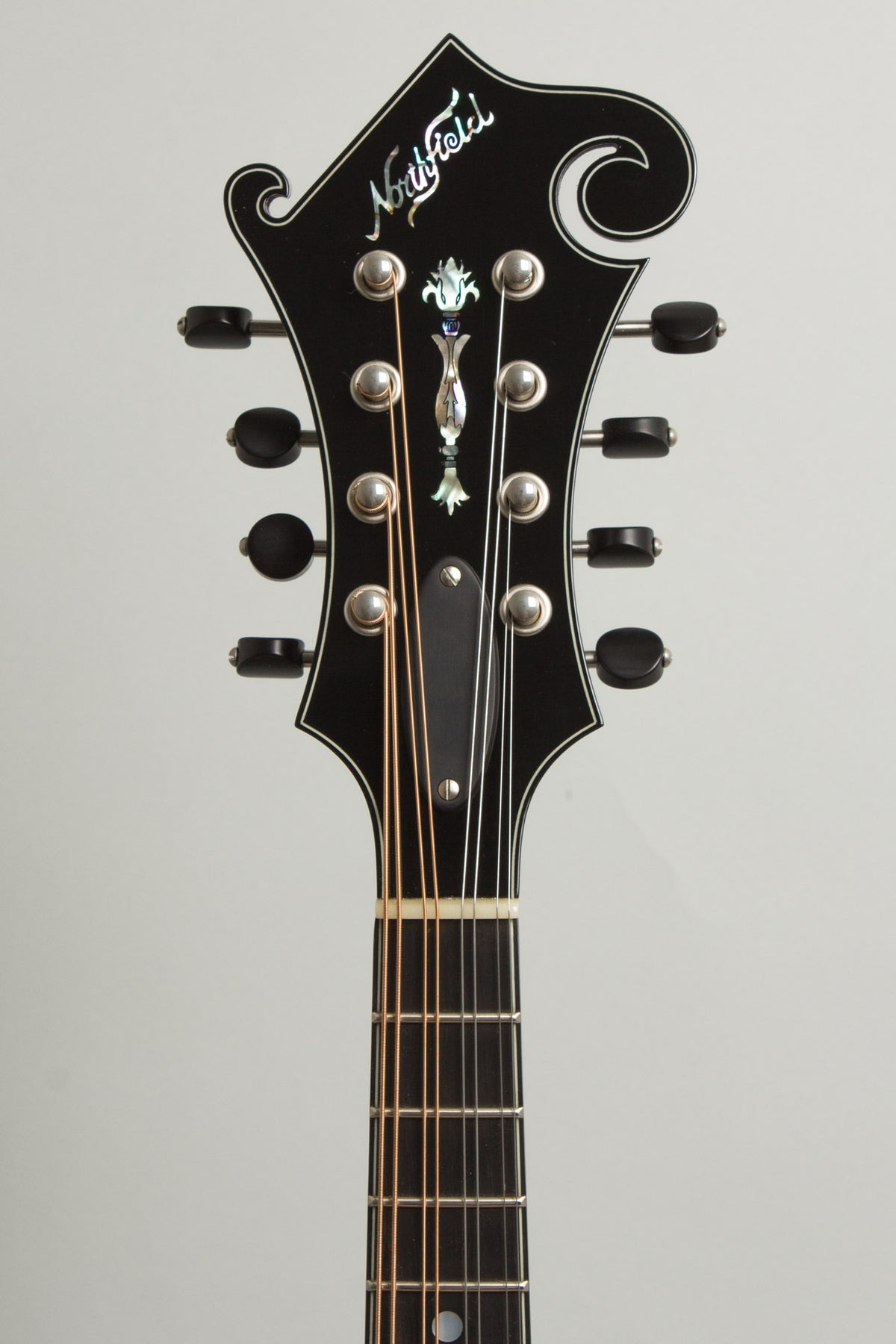 Northfield NFS-F5E Ltd Carved Top Mandolin (2026)