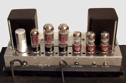 Ampeg B-15-N Tube Bass Amplifier (1965)