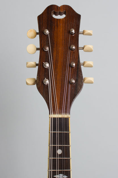 Anastasios Stathopoulo Perfectone Model 25 A.8. Arch Top Mandolin (1913)