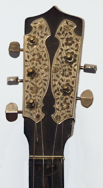 unknown 5 String Zither Banjo (early 1900's)