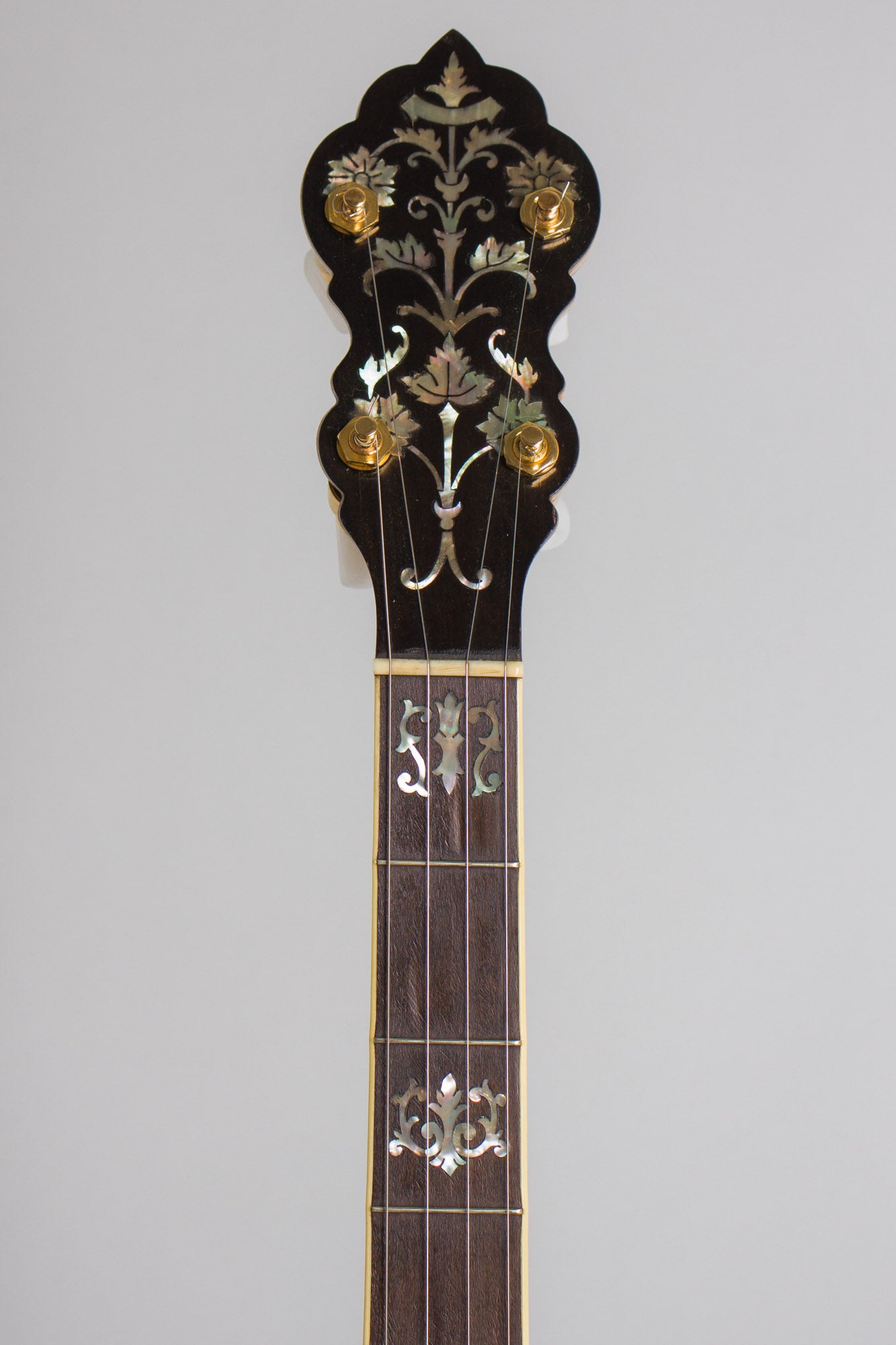 Bacon FF Professional Special Grand Concert 5 String Banjo (1916)