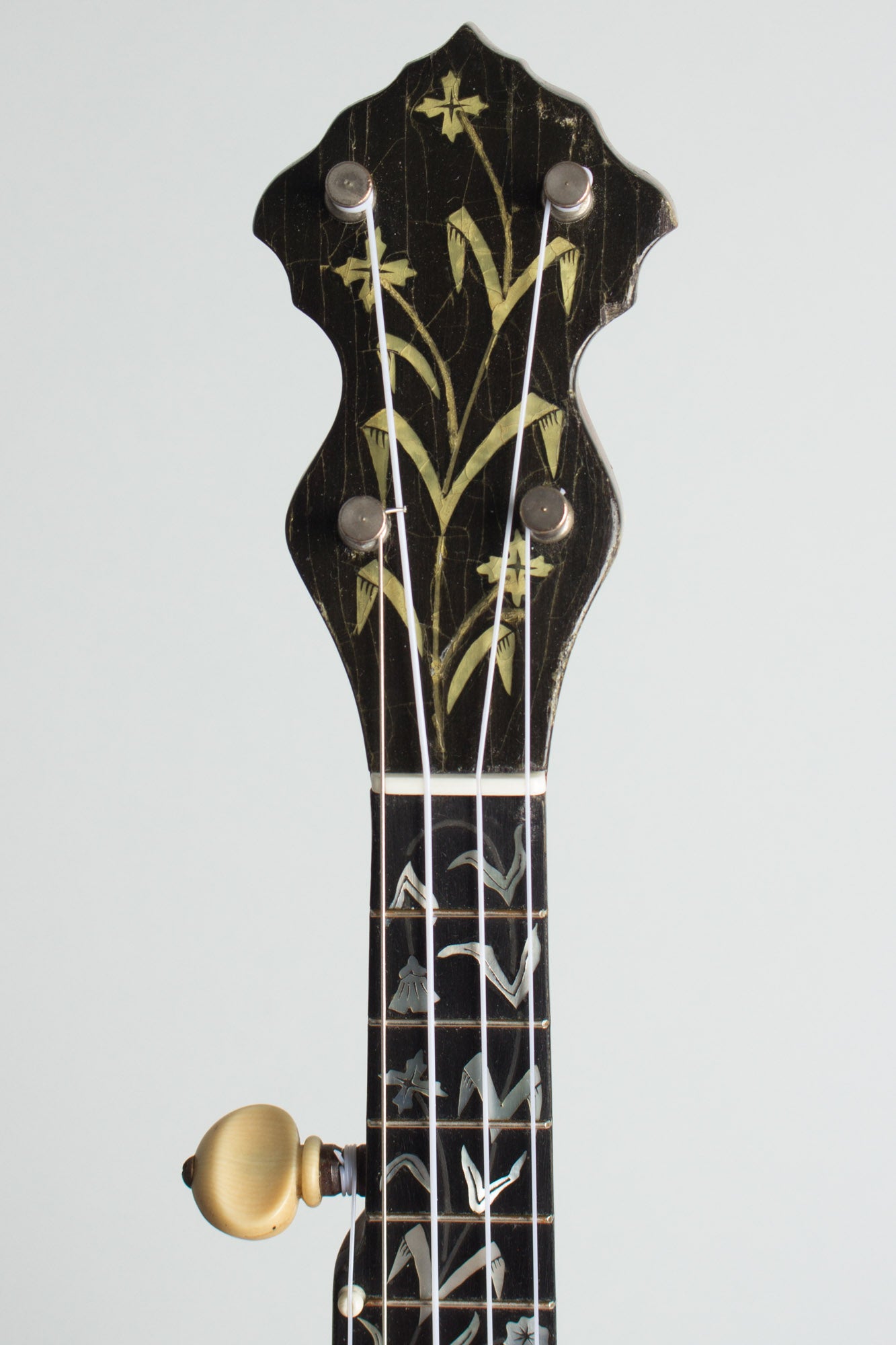 Washburn Elite Piccolo Banjo (1900)