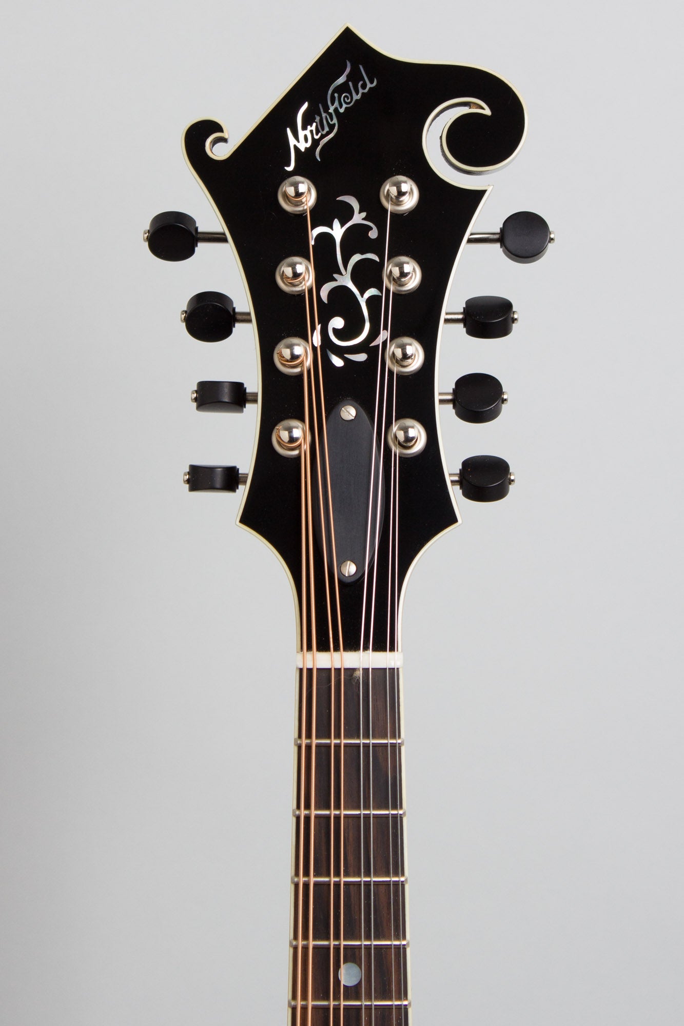 Northfield NFB-F5E Big Mon Carved Top Mandolin (2025)