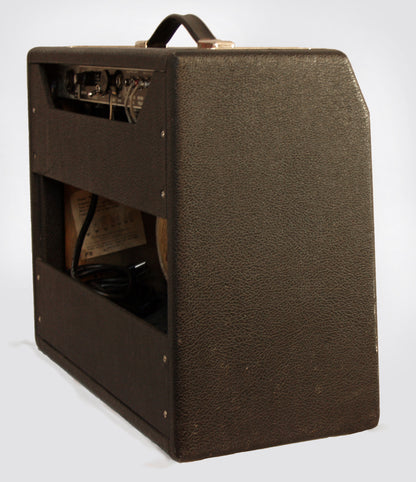 Fender Princeton Reverb Tube Guitar Amplifier (1966)
