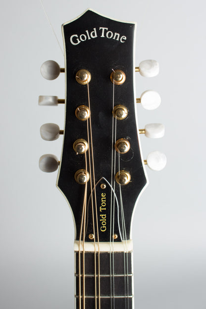 Gold Tone GM-Custom Arch Top Mandolin (2014)