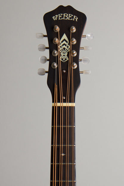 Weber Gallatin Carved Top Mandocello (2003)