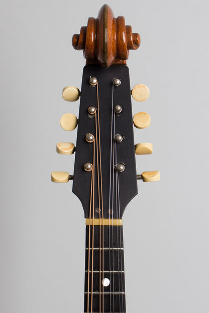 Washburn Model 5283 Deluxe Carved Top Mandolin (1930)