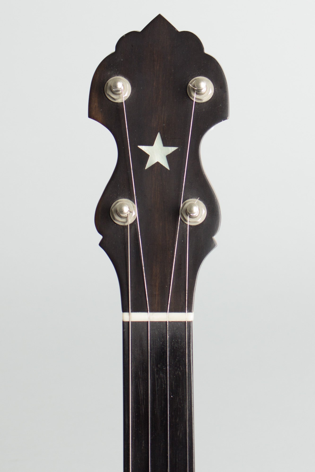 Bart Reiter Standard Fretless 5 String Banjo (2000)