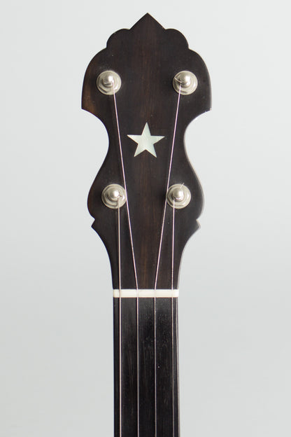 Bart Reiter Standard Fretless 5 String Banjo (2000)