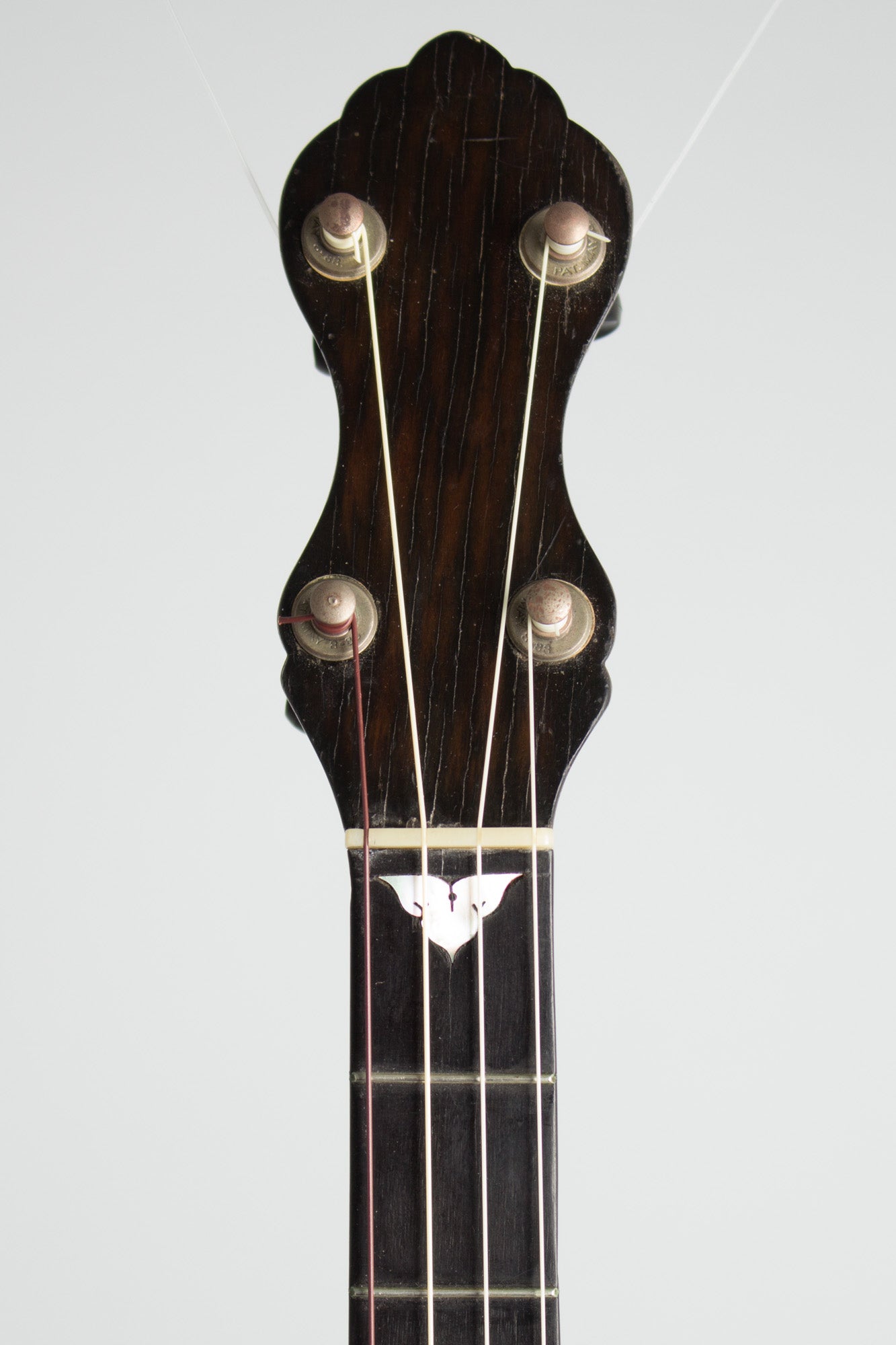 W. A. Cole 5 String Banjo (1892)