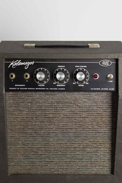 Kalamazoo Model Two Tube Amplifier (1966)