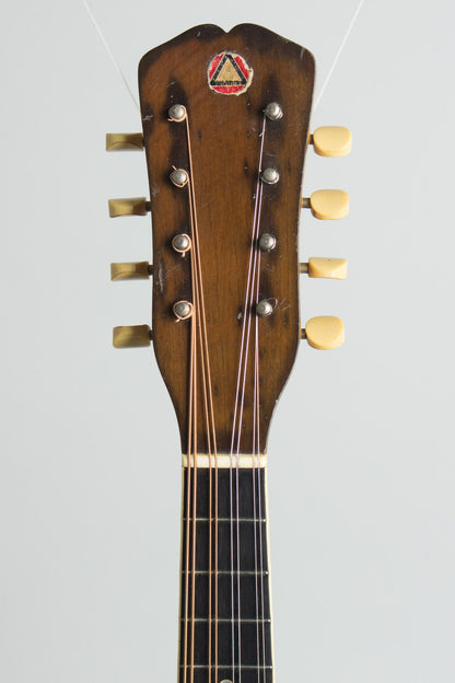 Vega Fairbanks Little Wonder Mandolin Banjo (1911)