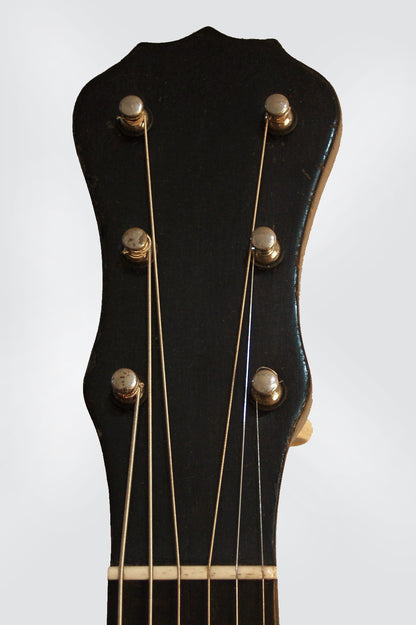 Lyon & Healy Washburn Model 5115 Guitar Banjo (1925)