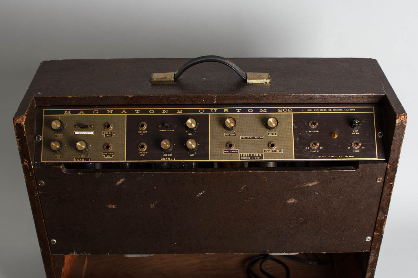 Magnatone Custom 262 Tube Amplifier (1962)