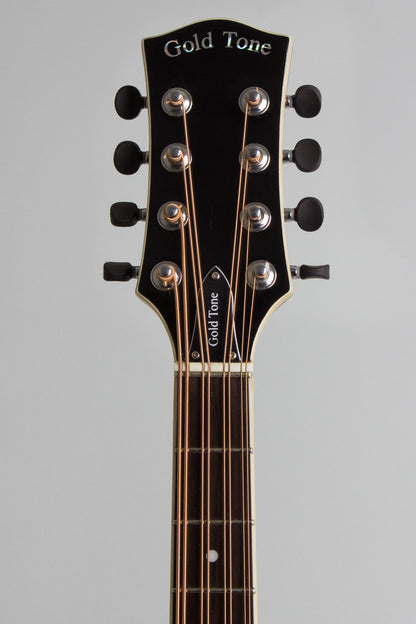 Gold Tone Arch top Mandocello (2022)