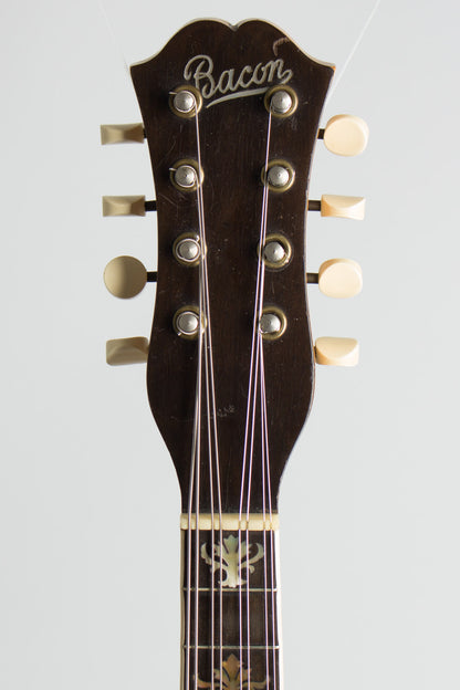 Bacon Orchestra Style B Mandolin Banjo (1917)