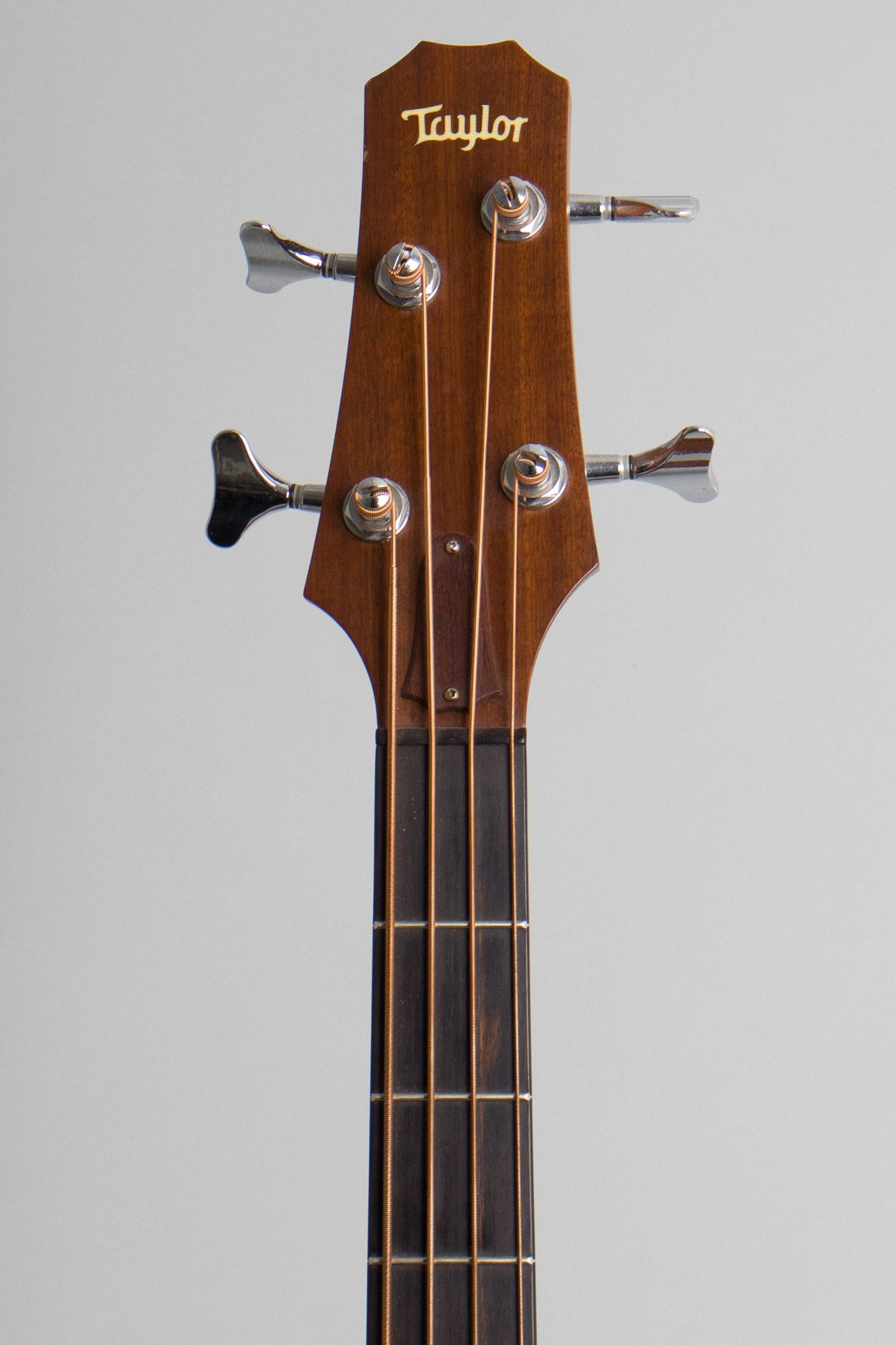 Taylor Klein AB-1 Acoustic-Electric Bass Guitar (1996)