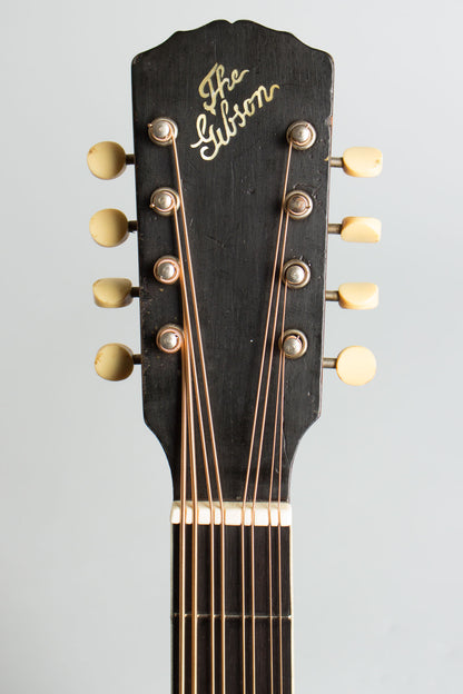 Gibson K-1 Carved Top Mandocello (1912)