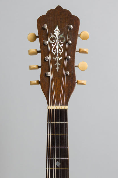 Favilla Bros. Mandolin Banjo (1920)