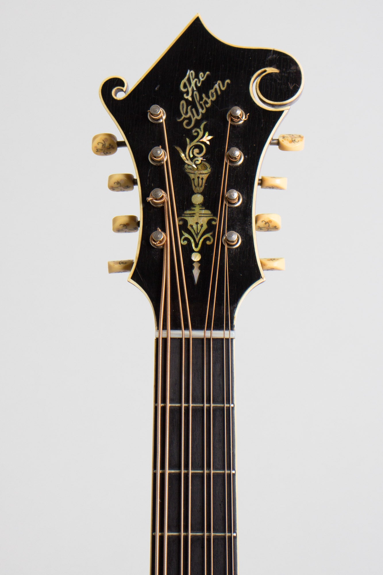Gibson K-4 Carved Top Mandocello (1916)