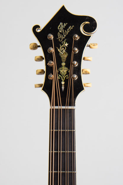 Gibson K-4 Carved Top Mandocello (1916)
