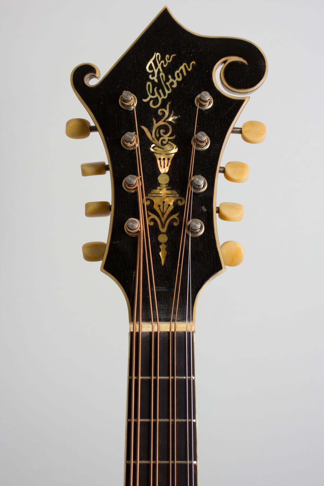 Gibson H-4 Carved Top Mandola (1916)