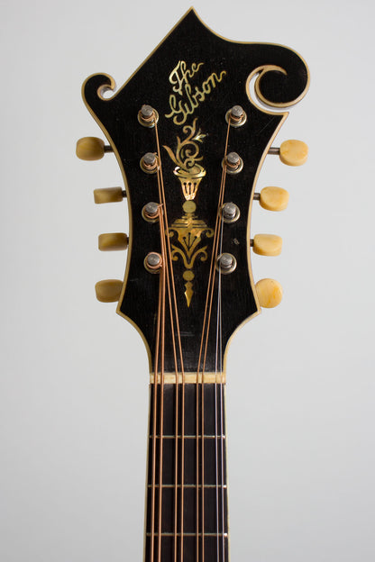 Gibson H-4 Carved Top Mandola (1916)