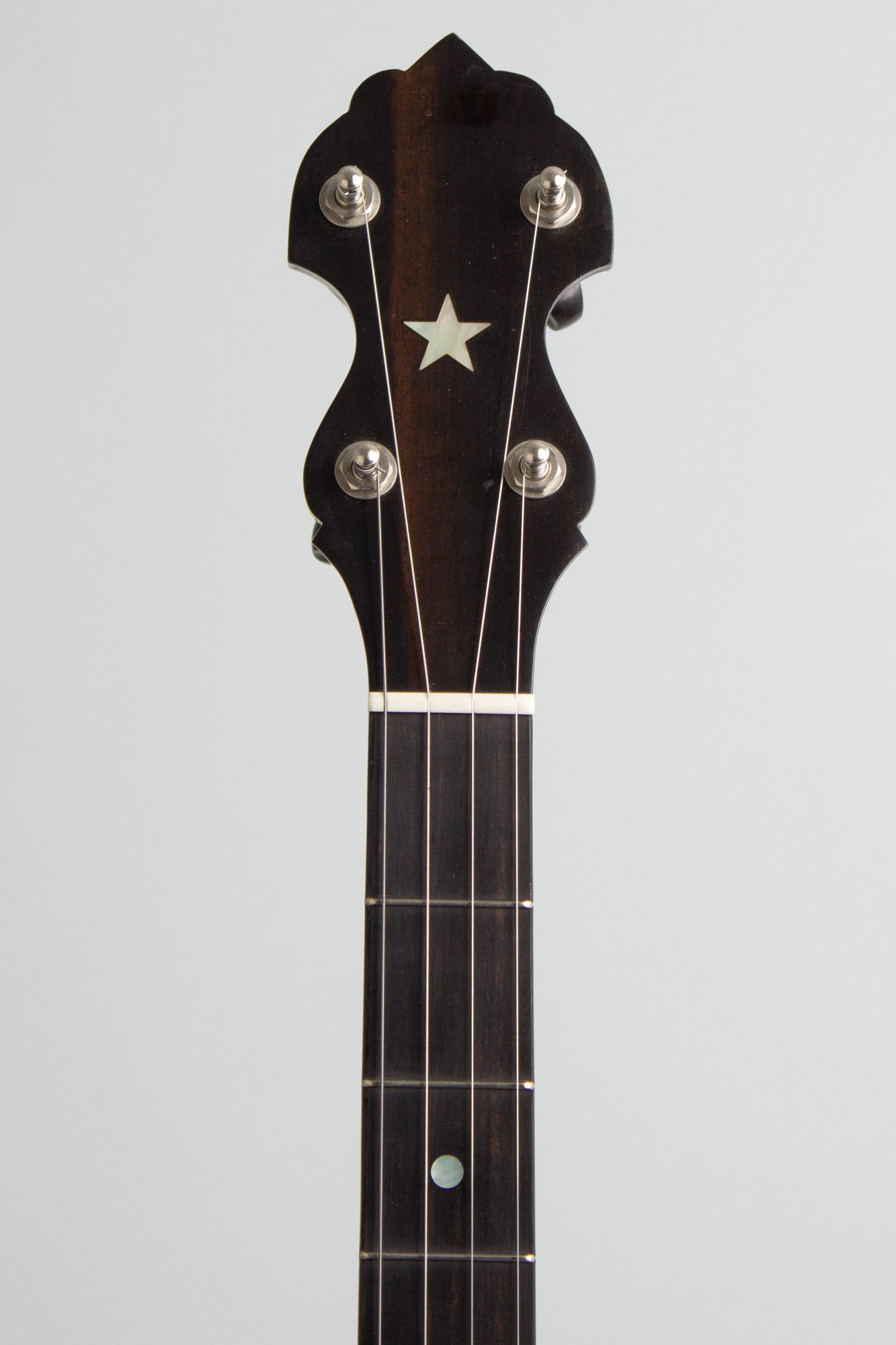 Bart Reiter Round Peak 5 String Banjo (2013)