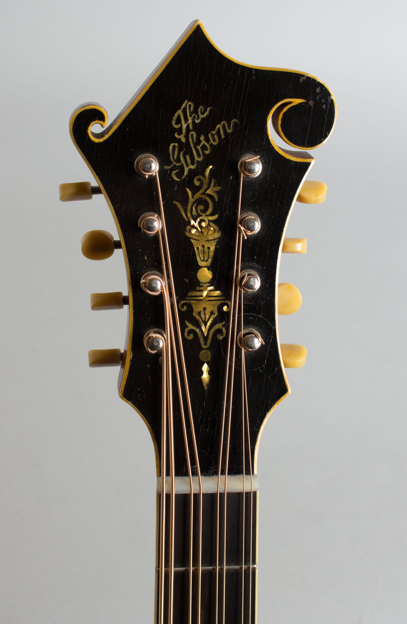 Gibson K-4 Carved Top Mandocello (1921)
