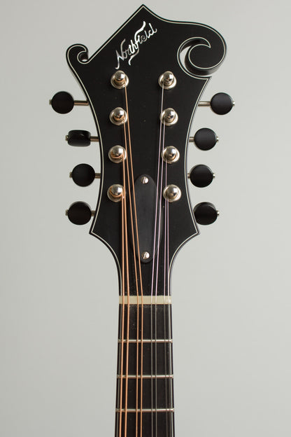 Northfield NFS-F5 Carved Top Mandolin (2026)
