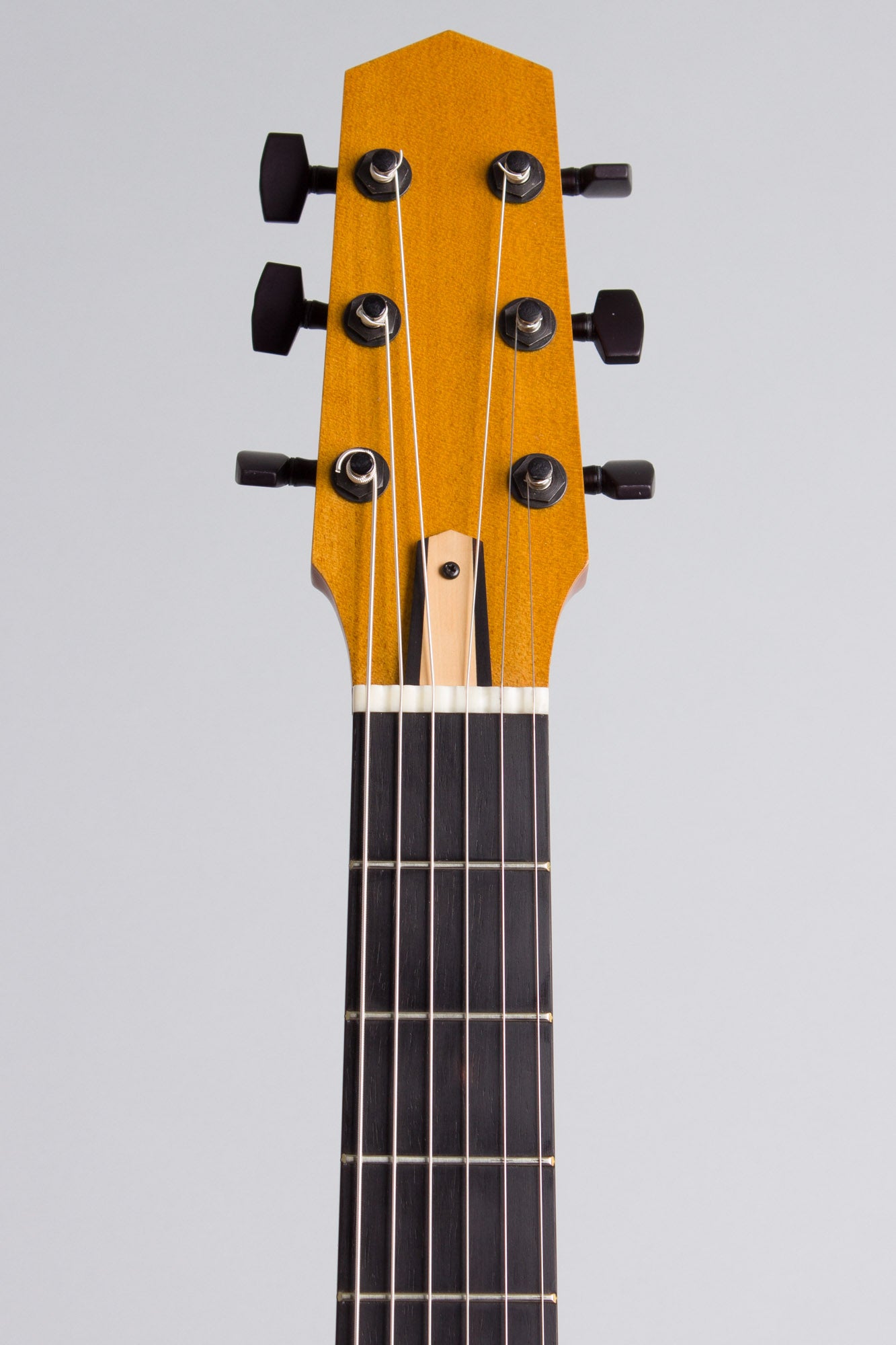 Michael Dunn Fleche D'Or Gypsy Jazz Guitar (2005)