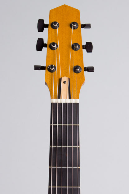 Michael Dunn Fleche D'Or Gypsy Jazz Guitar (2005)