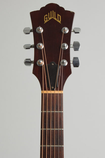 Guild D-25 Flat Top Acoustic Guitar (1983)