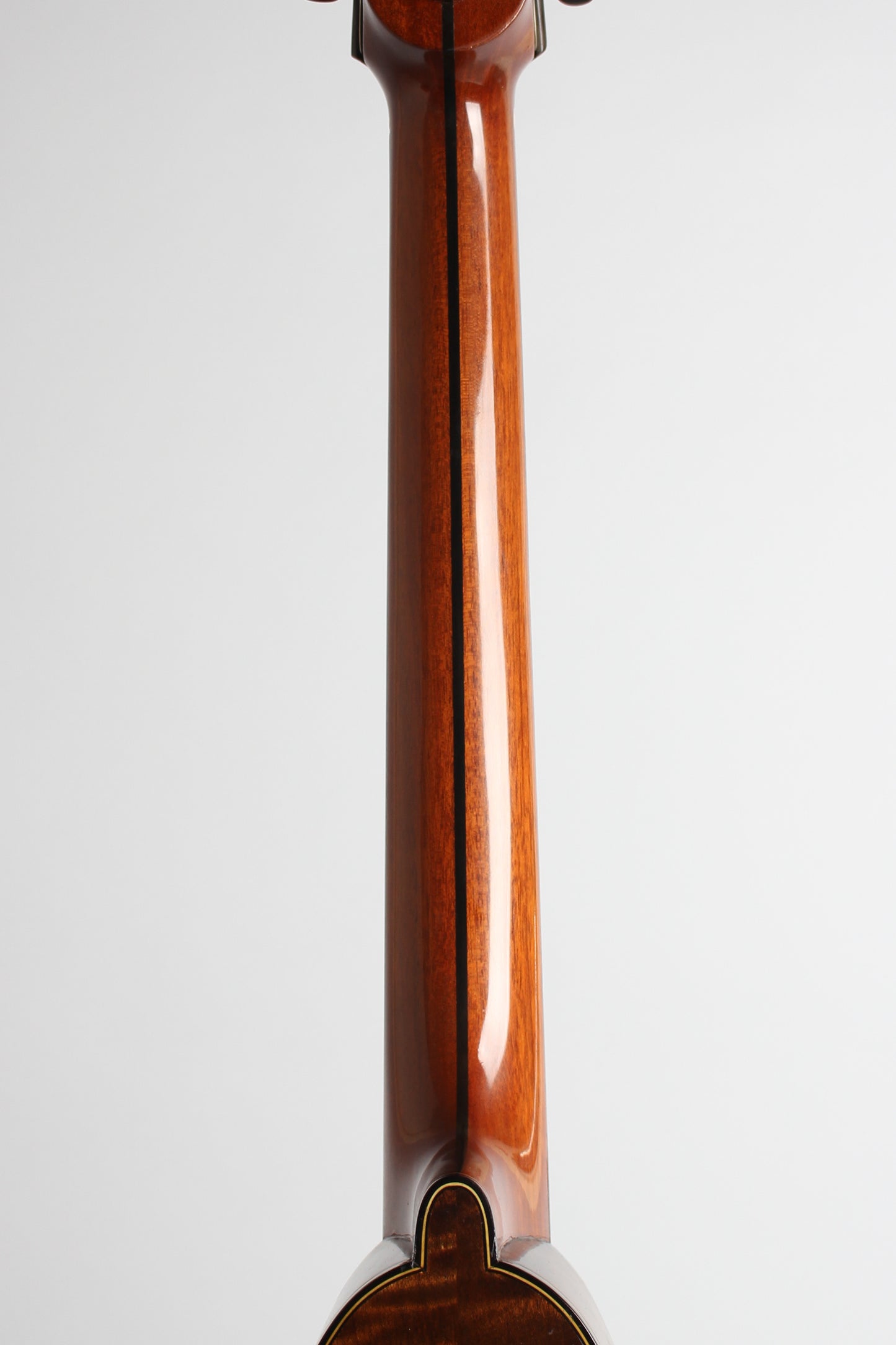 Lyon & Healy Washburn Style 5310 Carved Top Mandocello (1925)